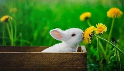 爱游戏平台-赛季MVP竞争白热化，多位候选人状态出众，这赛季mvp