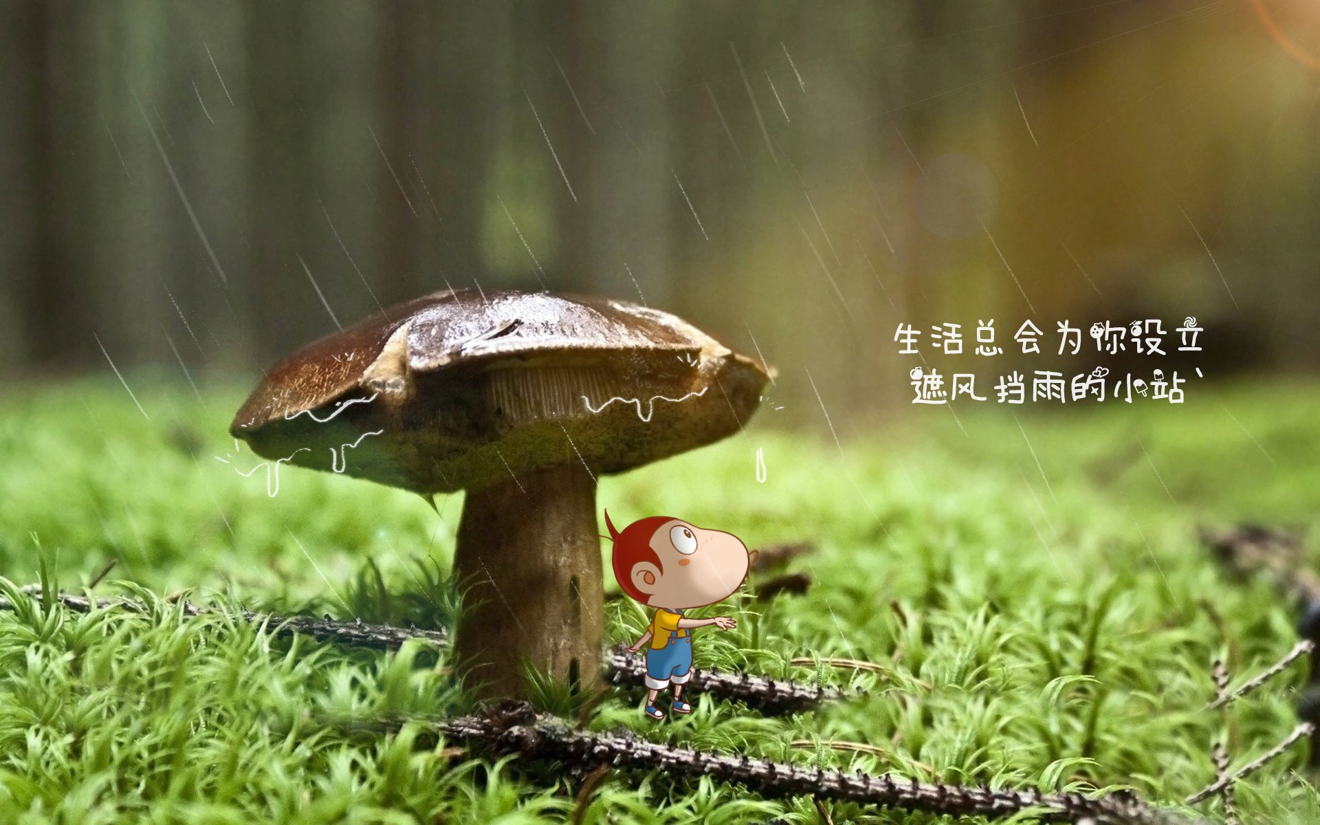 _无人机竞速赛：空中速度的全新体验_，无人机飞行比赛视频