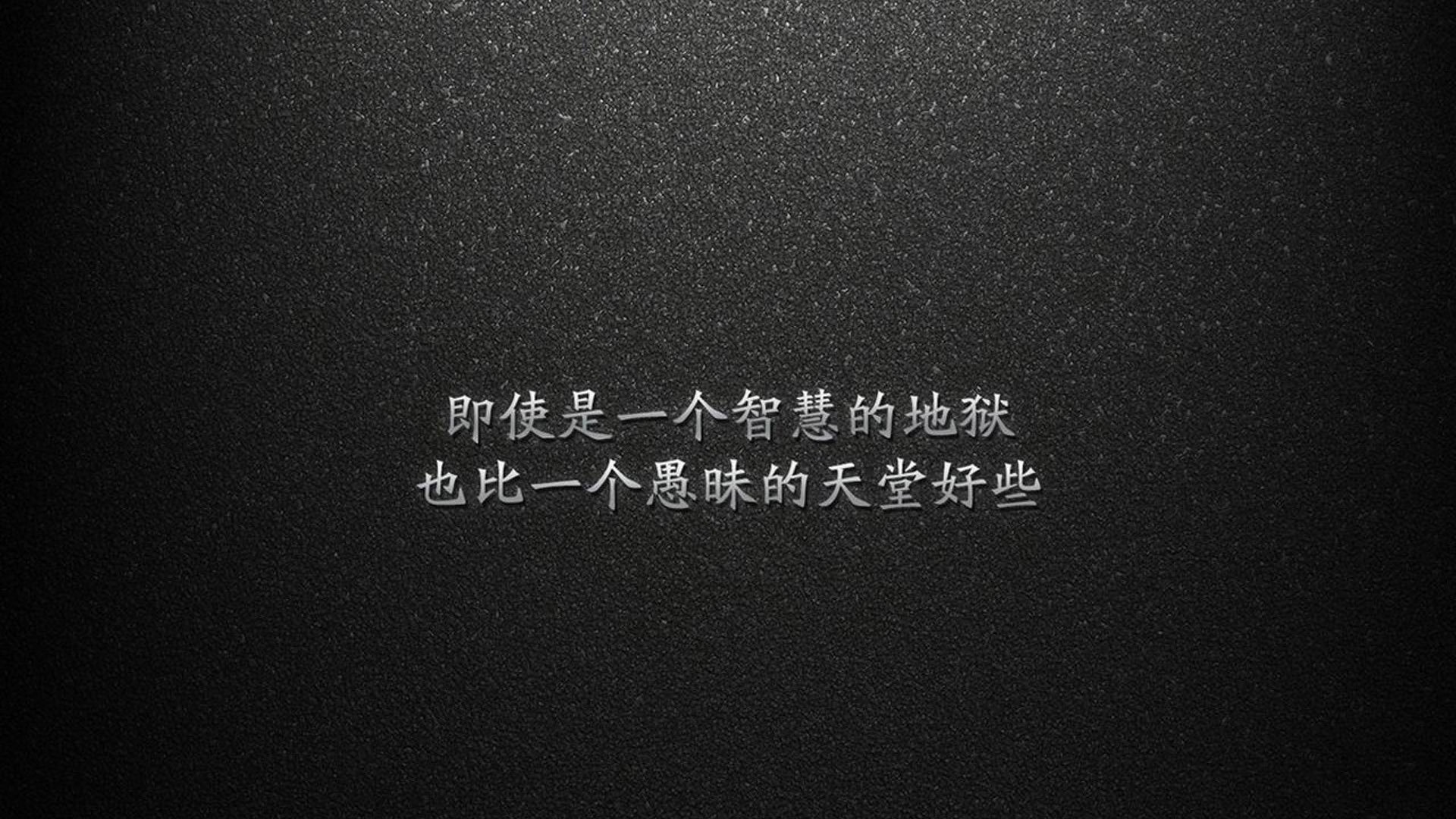 比利时马术协会推出马术运动员心理辅导项目，提升竞技表现。，比利时马犬介绍资料