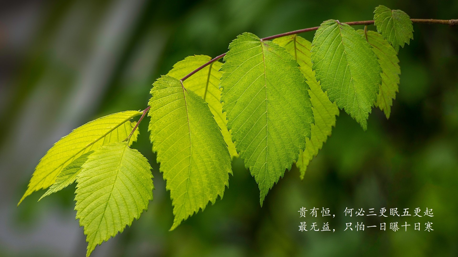 足球IP授权周边展会在广州火热开启，足球俱乐部ip授权