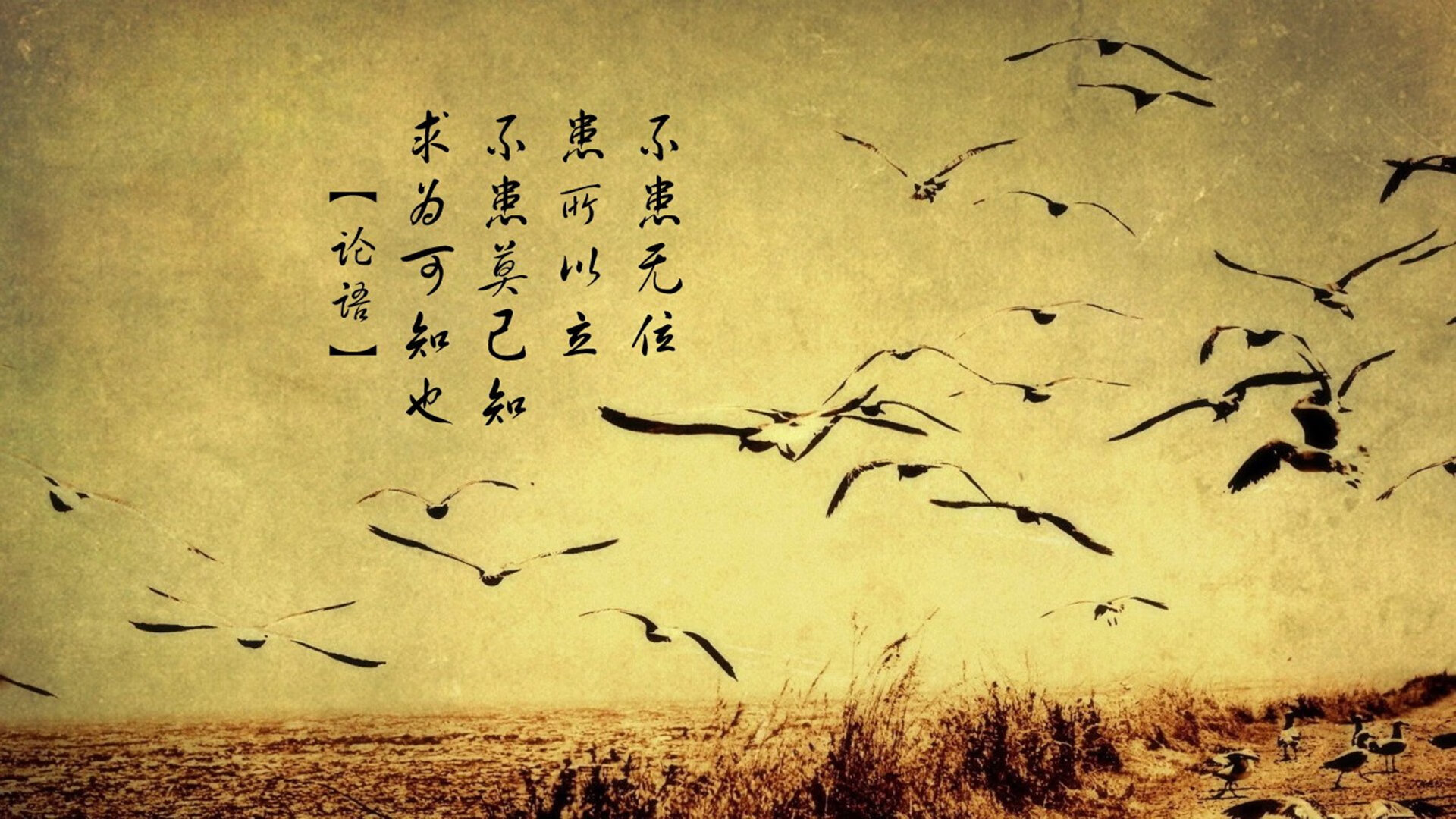浙江广厦球队攻防转换效率大幅提升，浙江广厦球队球员介绍