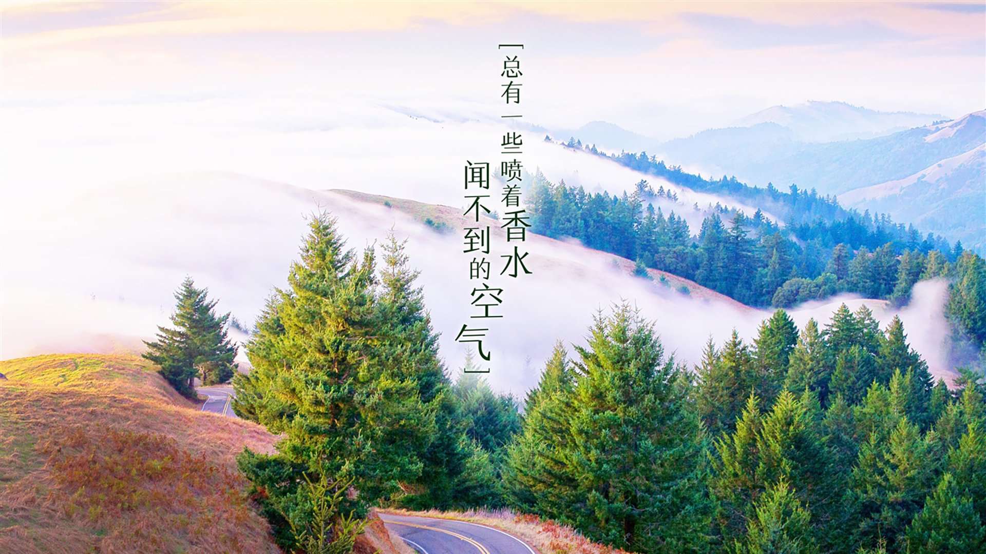 球队能否通过长期规划实现可持续竞争