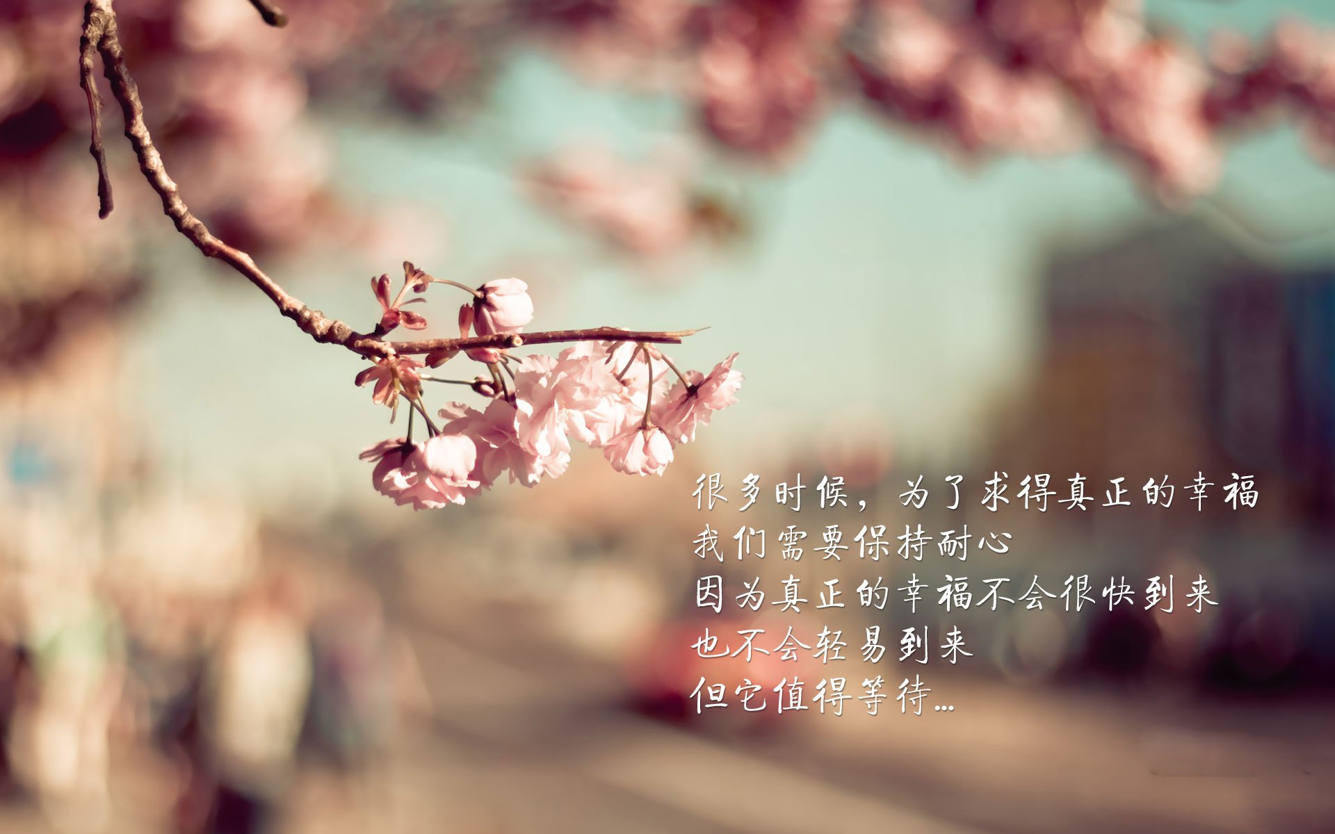 “拳击选手全力出击，四川省体育馆迎来激烈角逐”