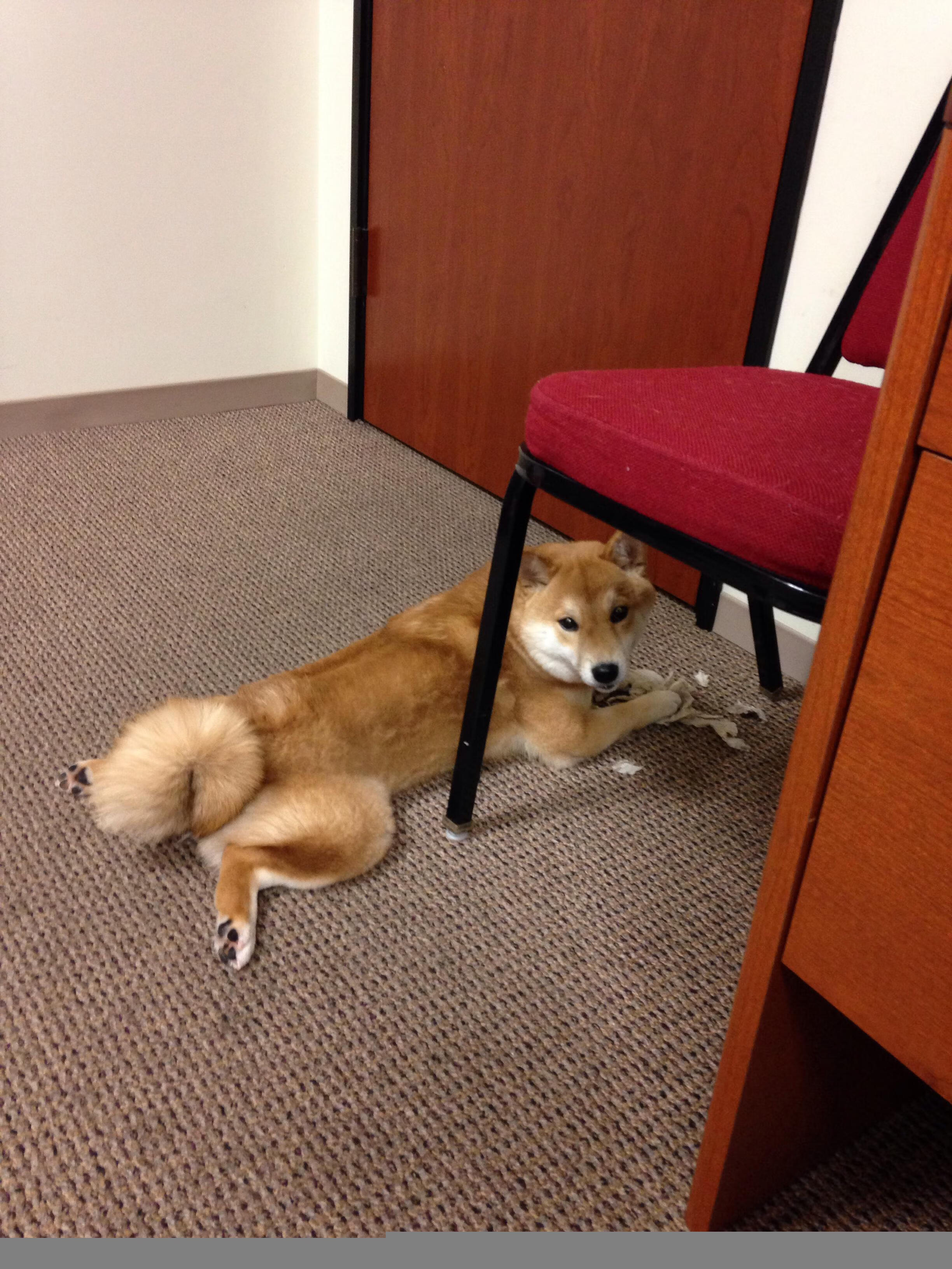 AYX体育官网-节奏快的球队是否更难与慢节奏球队对抗，节奏型球员