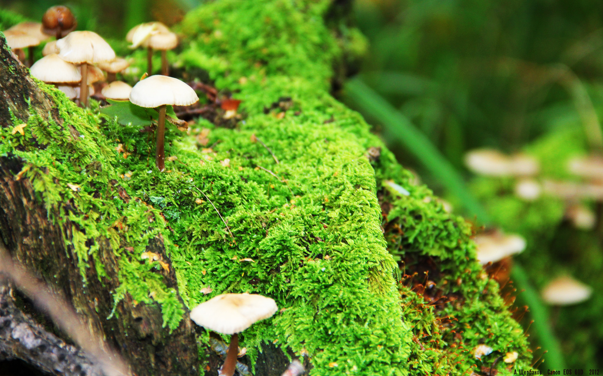 爱游戏app-足球比赛数据分析纳入教练日常评估流程，足球队数据分析