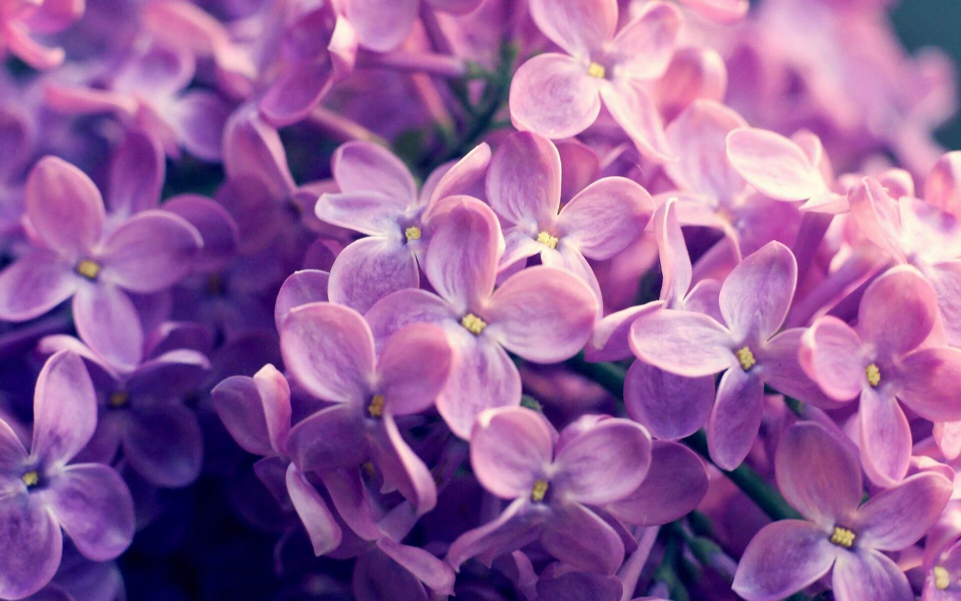 爱游戏综合娱乐-威尔士女子队的职业化进程加速，助力全球橄榄球发展，威尔士球员2021