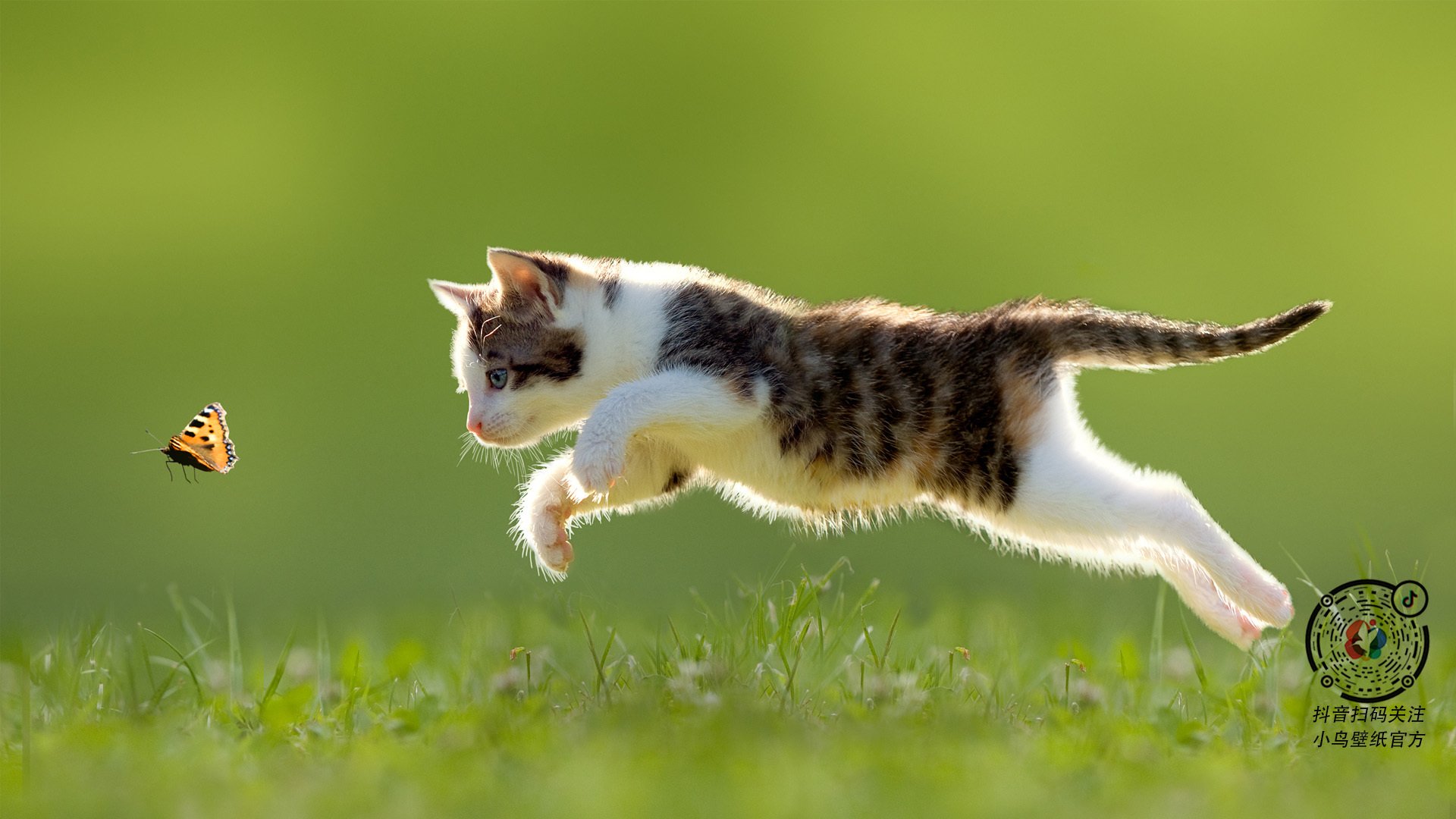 极限攀岩入选多所高校选修体育课程，极限攀爬