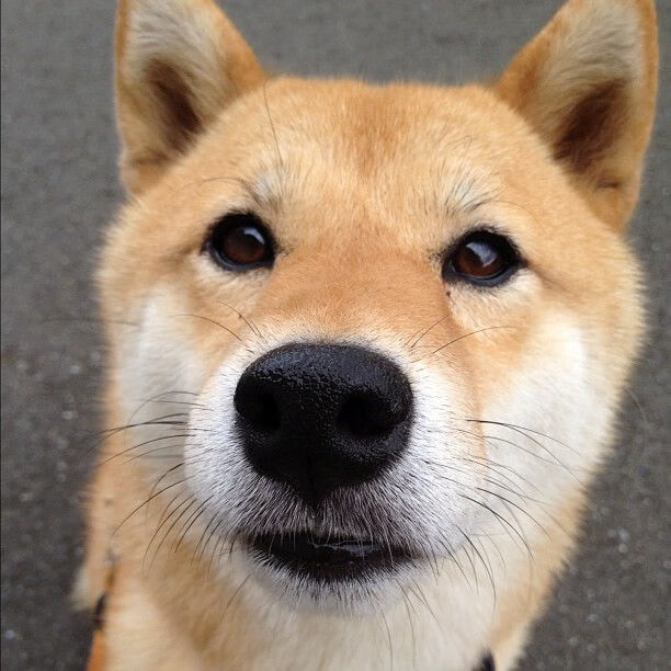 赫梅列夫斯基精准转身助力冲线，赫梅利尼茨基