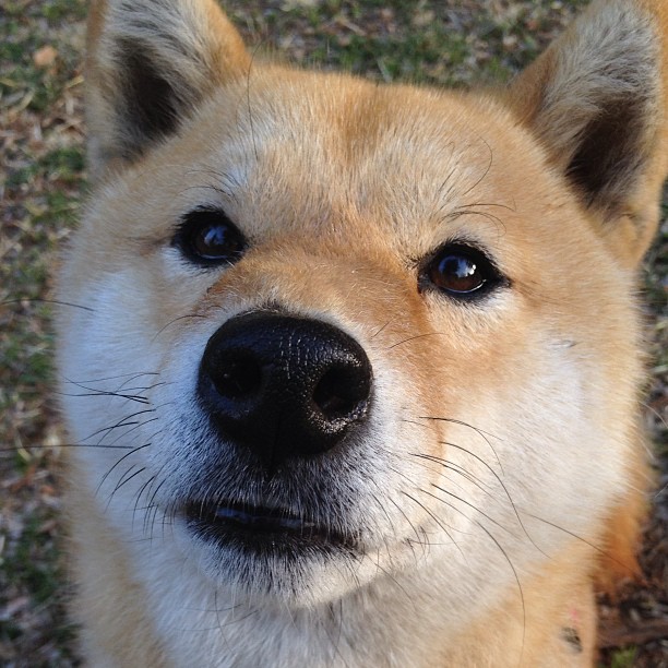 项目数量虽少,但质量集中度高,项目质量不高的改进措施